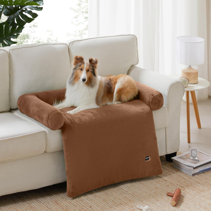 Beautiful view of Pet Calm Furniture For Apartments